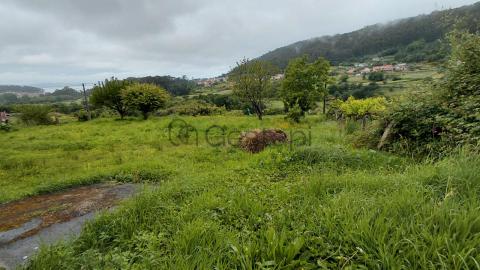 FINCA + CASA EN LA ZONA DE BARREIRO (DORRON) SANXENXO
